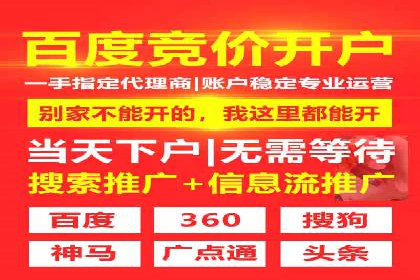 SEM广告投放策略案例分析